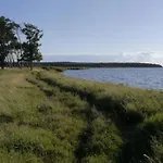 05 Zwergmoewe Mit Blick Auf Salzhaff Und Ostsee Rerik