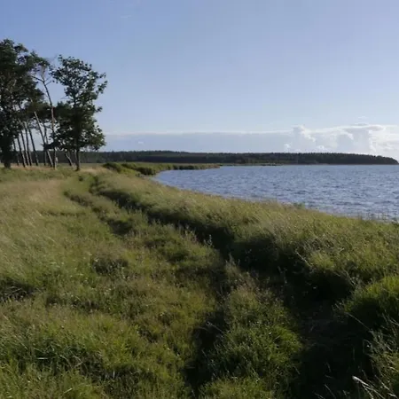 05 Zwergmoewe Mit Blick Auf Salzhaff Und Ostsee Apartmán