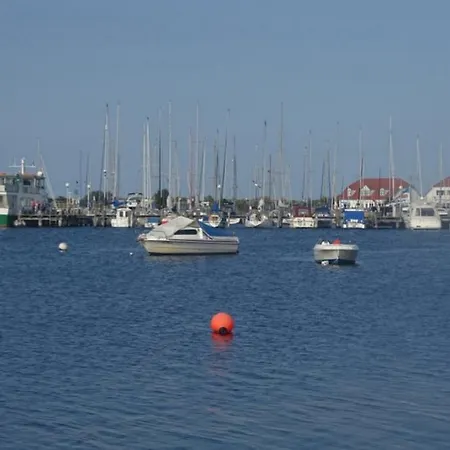 05 Zwergmoewe Mit Blick Auf Salzhaff Und Ostsee