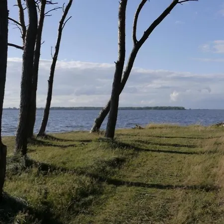Lejlighed 05 Zwergmoewe Mit Blick Auf Salzhaff Und Ostsee